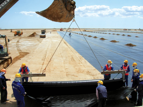 ����Ĥʩ���F(xi��n)��