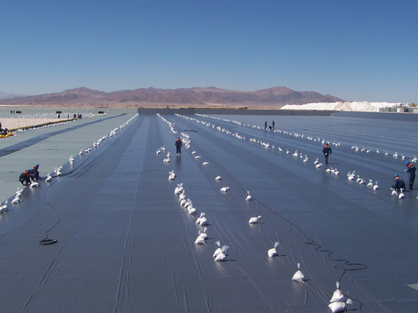 ����Ĥʩ���F(xi��n)��