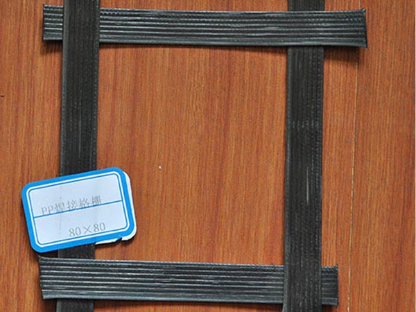 PP�����������