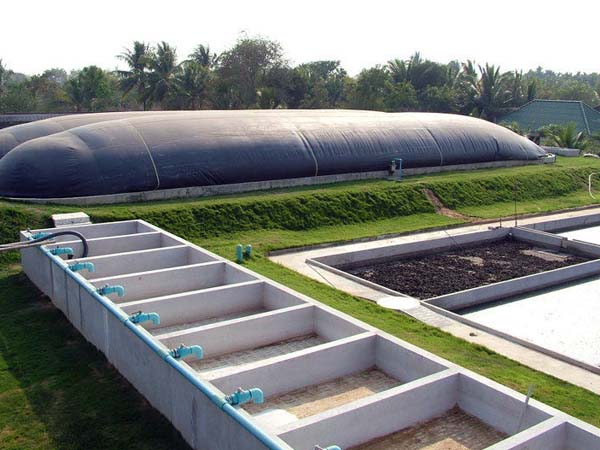 �Ӛ������Ĥ