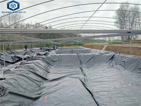 ���q�B(y��ng)ֳ���BĤ���ڻ�����ˮ�a(ch��n)�B(y��ng)ֳ�(xi��ng)Ŀ