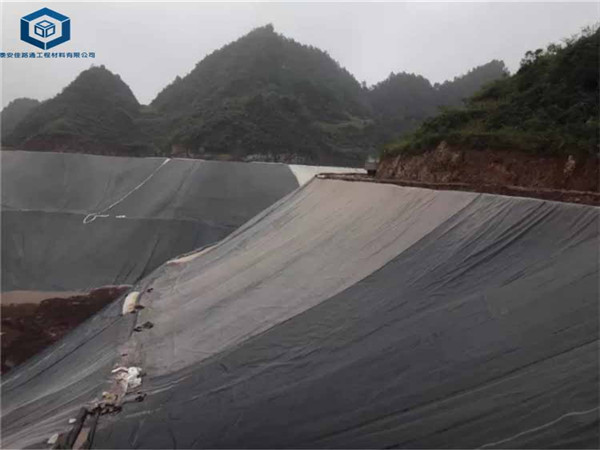 ������(ch��ng)��������Ĥ