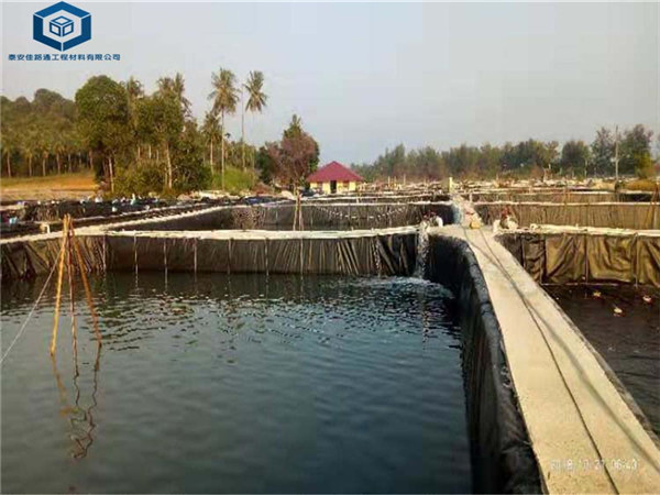 �B(y��ng)ֳ����Ĥ