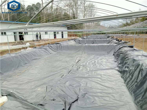 �~�r�B(y��ng)ֳĤ