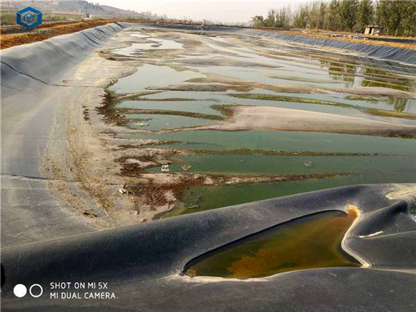 ��Һ������Ĥ