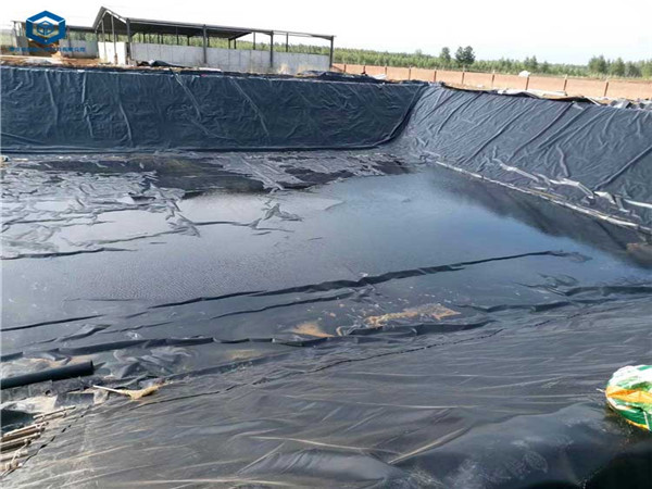 ��������O(sh��)