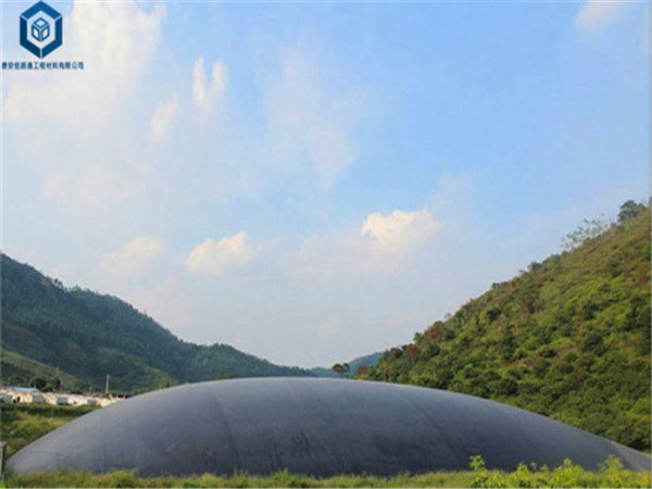 �Ӛ������Ĥ