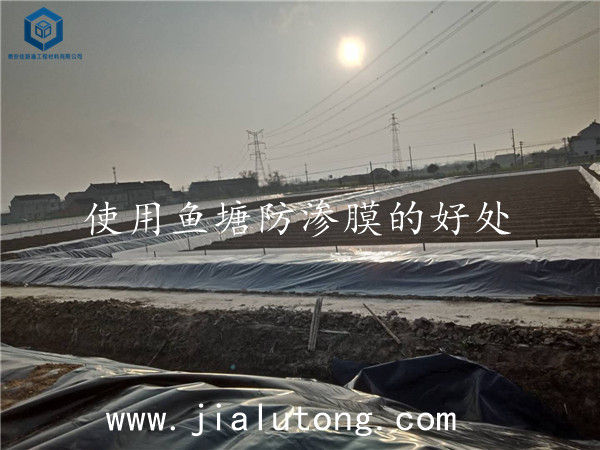 �~(y��)�����BĤ