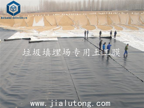 �����������������Ĥ